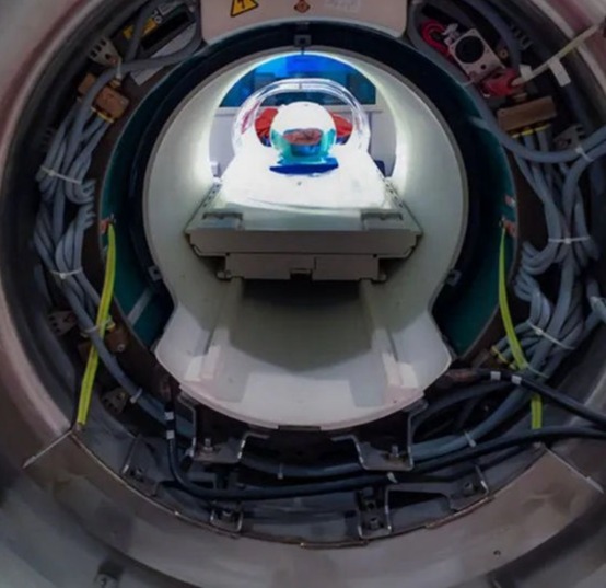 Maintenance and Repair